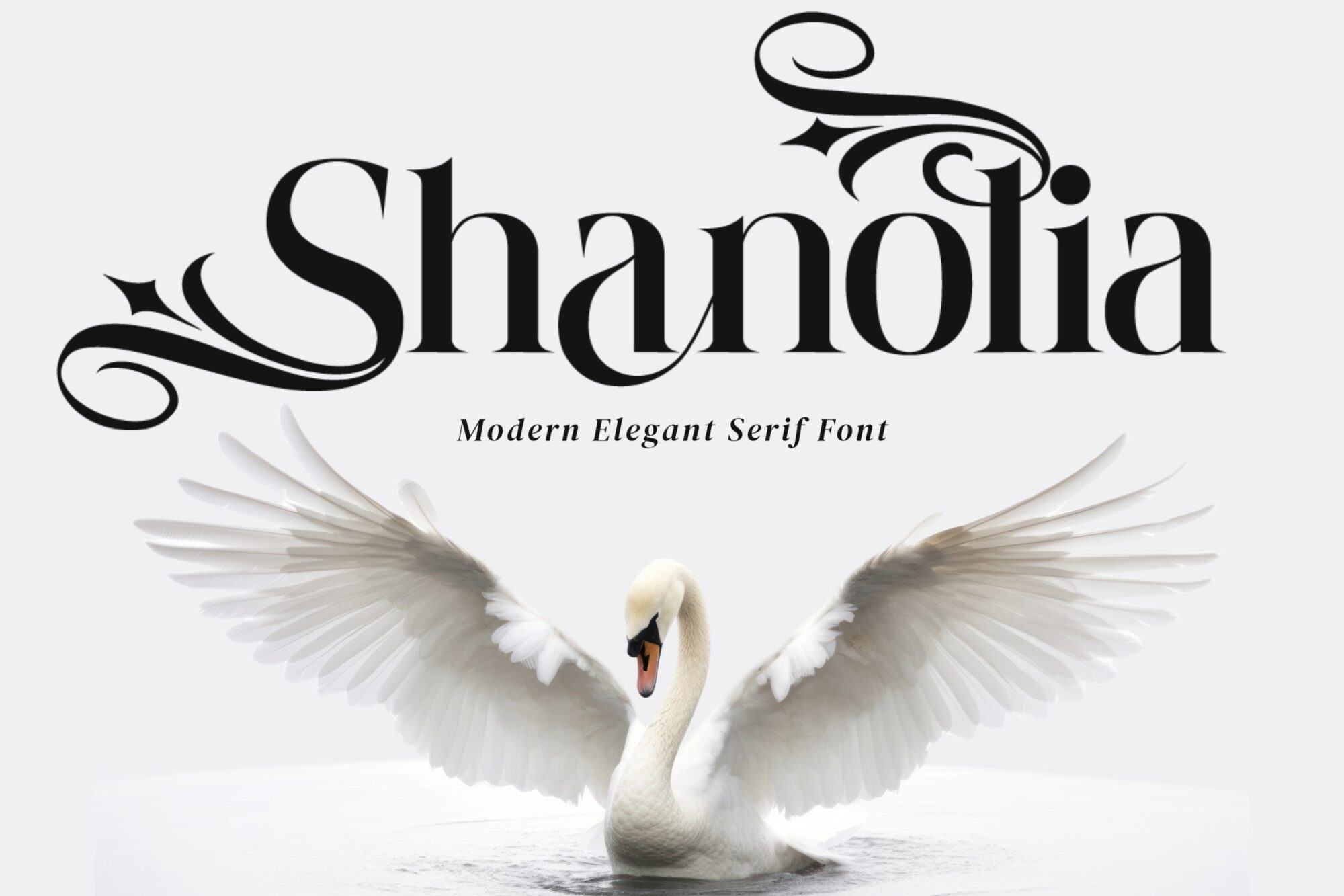 Shanolia for Luxury Branding